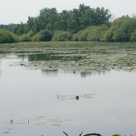 Gannay-sur-Loire Maison De Ferme Au Calme Jusqu'A 10 Personnes מראה חיצוני תמונה