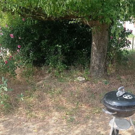 Gannay-sur-Loire Maison De Ferme Au Calme Jusqu'A 10 Personnes מראה חיצוני תמונה