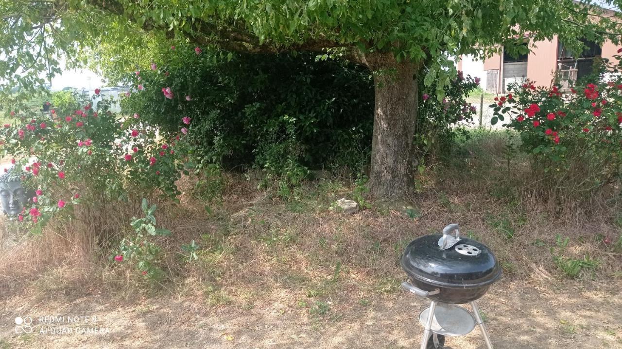 Gannay-sur-Loire Maison De Ferme Au Calme Jusqu'A 10 Personnes מראה חיצוני תמונה